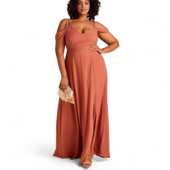 Birdy Grey Terracotta Maxi Dress - Picture 3 of 12